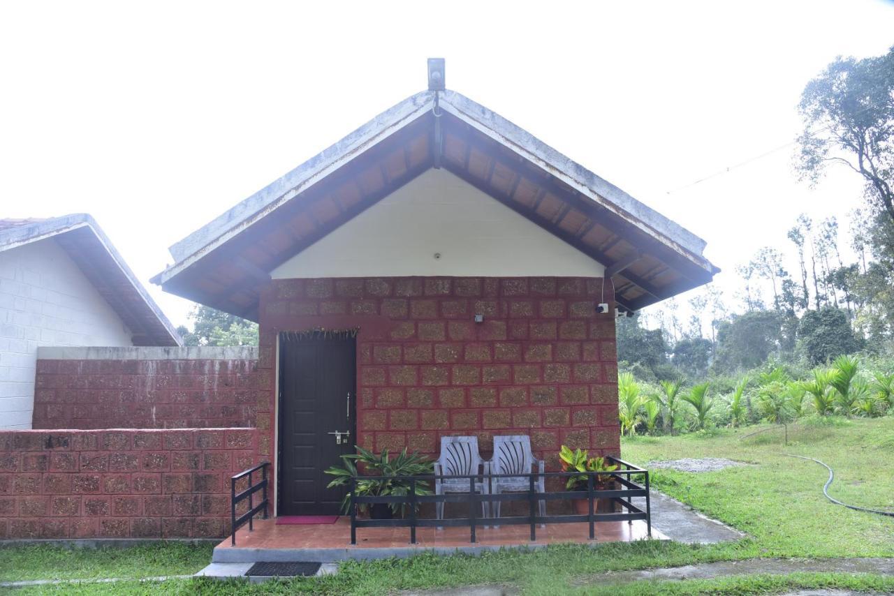Homestay Redrock *